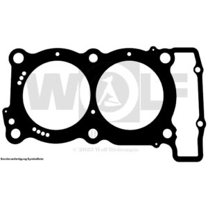 Zylinderkopfdichtung für Yamaha | TDM | 850