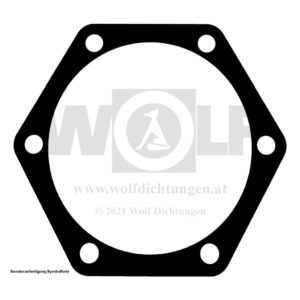 Getriebedichtung für Zastava | AR 55