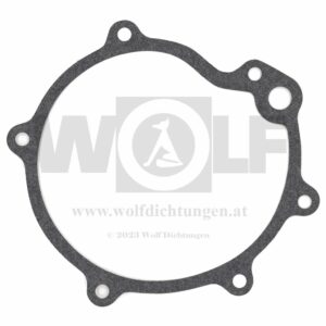 Wasserpumpendichtung für Opel