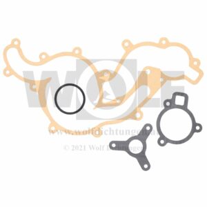 Teildichtsatz für Wasserpumpe und Thermostat für Ford | Capri
