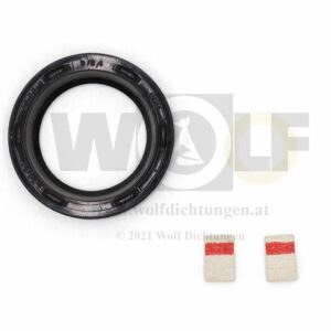 Dichtungsset für Ford